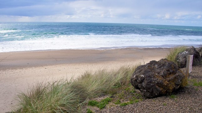 Beach at Sea and Sand RV Park