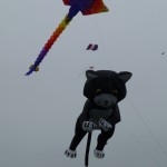 50-foot Kites
