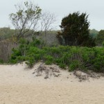 Hammonasset Beach State Park